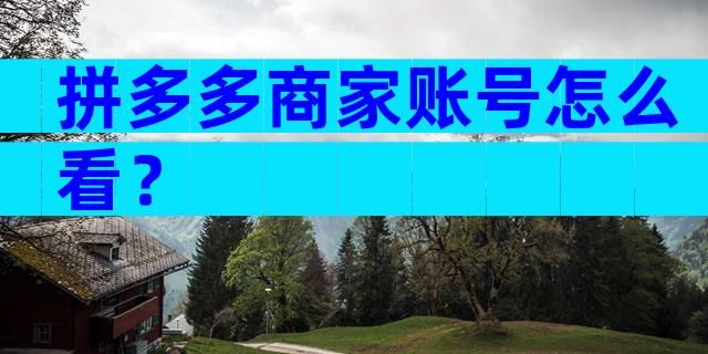 拼多多商家账号怎么看？