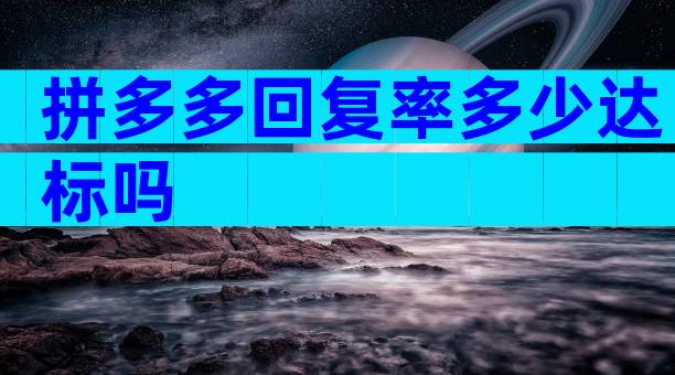拼多多回复率多少达标吗