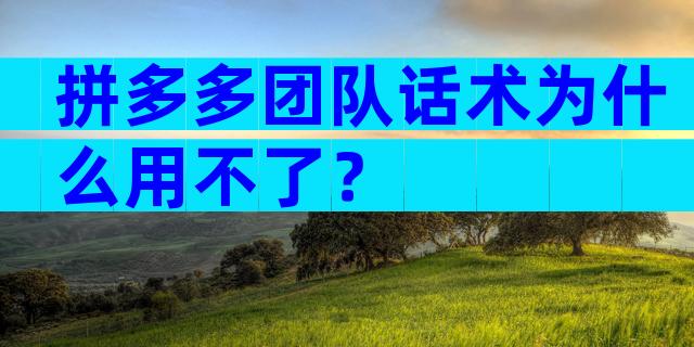 拼多多团队话术为什么用不了？