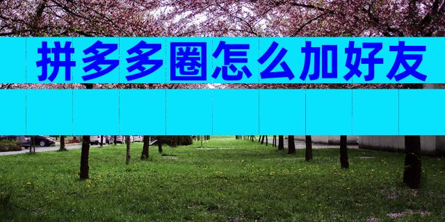 拼多多圈怎么加好友