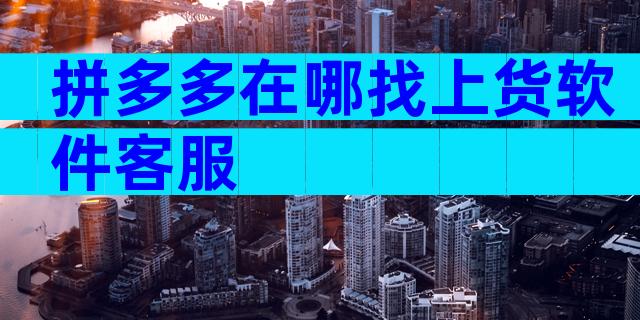 拼多多在哪找上货软件客服