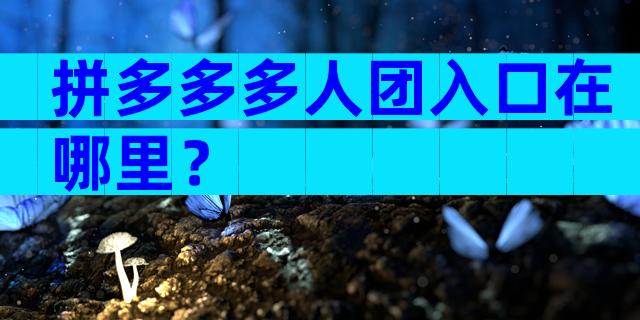 拼多多多人团入口在哪里？