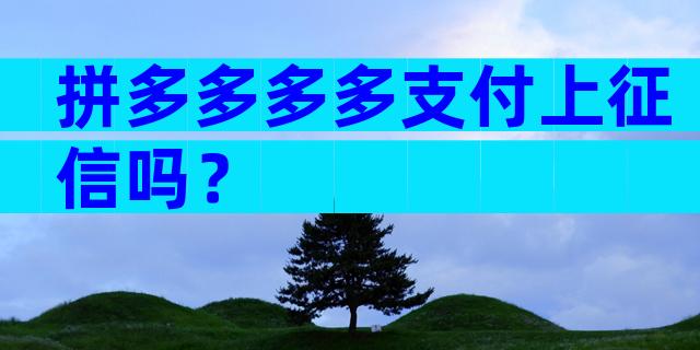 拼多多多多支付上征信吗？