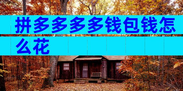 拼多多多多钱包钱怎么花