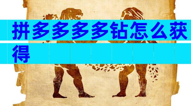 拼多多多多钻怎么获得