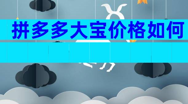拼多多大宝价格如何