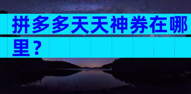 拼多多天天神券在哪里？