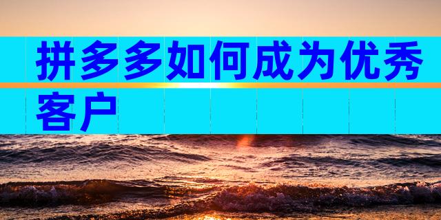 拼多多如何成为优秀客户