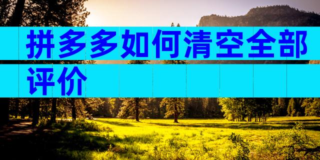 拼多多如何清空全部评价