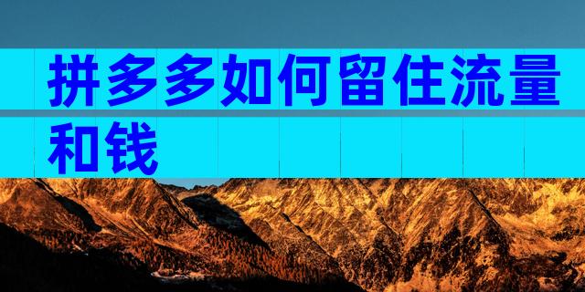 拼多多如何留住流量和钱
