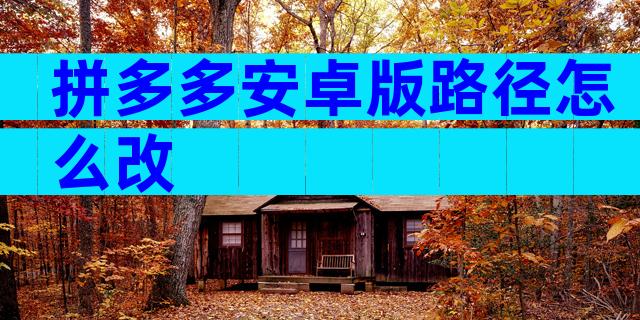 拼多多安卓版路径怎么改