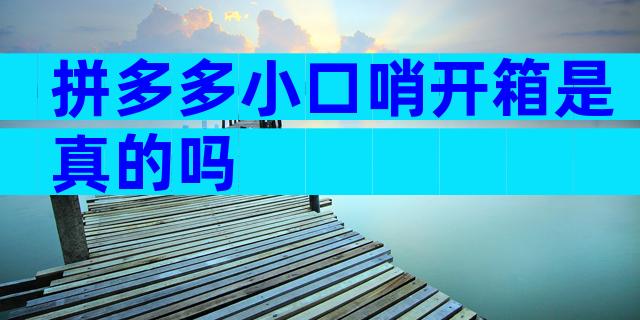 拼多多小口哨开箱是真的吗