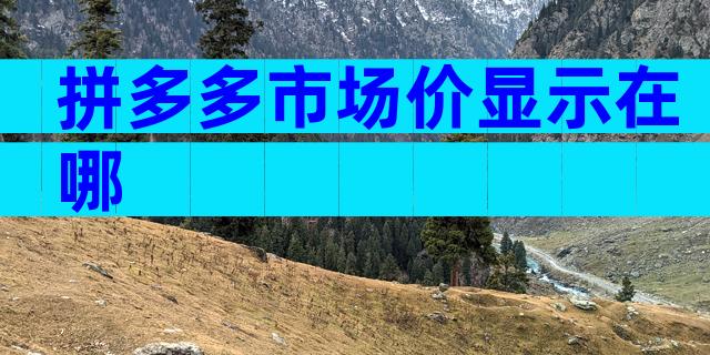 拼多多市场价显示在哪