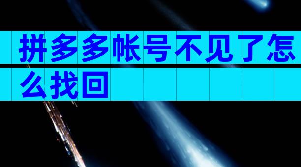 拼多多帐号不见了怎么找回