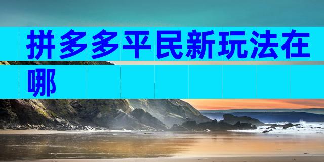 拼多多平民新玩法在哪