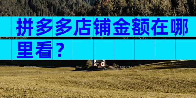 拼多多店铺金额在哪里看？