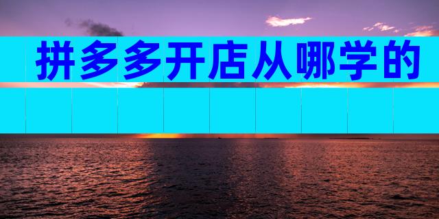 拼多多开店从哪学的