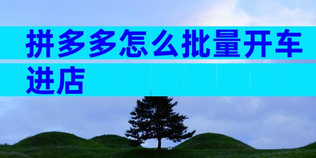 拼多多怎么批量开车进店