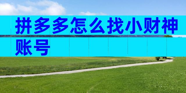 拼多多怎么找小财神账号