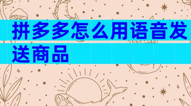 拼多多怎么用语音发送商品