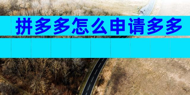 拼多多怎么申请多多