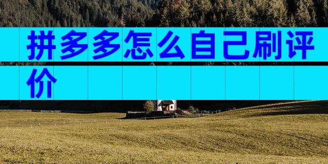 拼多多怎么自己刷评价