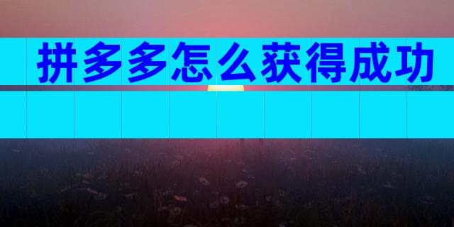 拼多多怎么获得成功