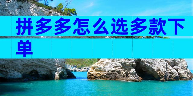 拼多多怎么选多款下单