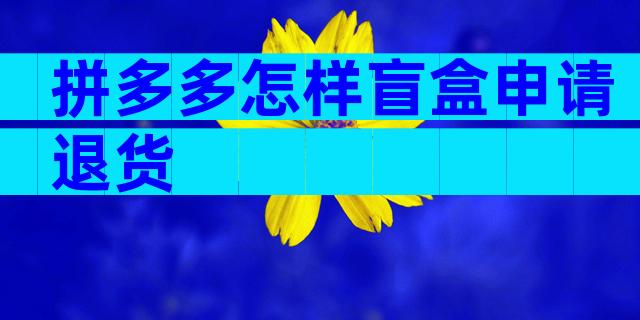 拼多多怎样盲盒申请退货