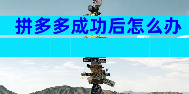 拼多多成功后怎么办