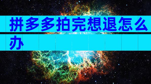 拼多多拍完想退怎么办