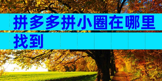 拼多多拼小圈在哪里找到