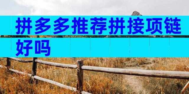 拼多多推荐拼接项链好吗