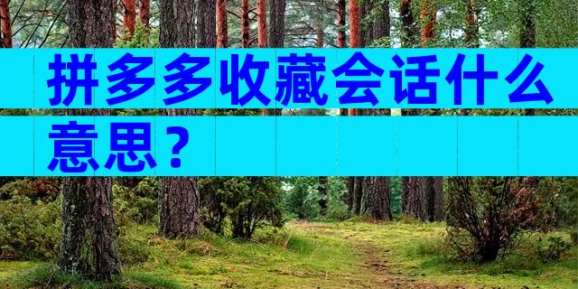 拼多多收藏会话什么意思？