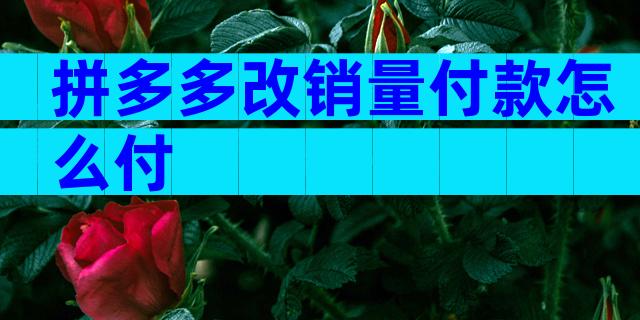 拼多多改销量付款怎么付