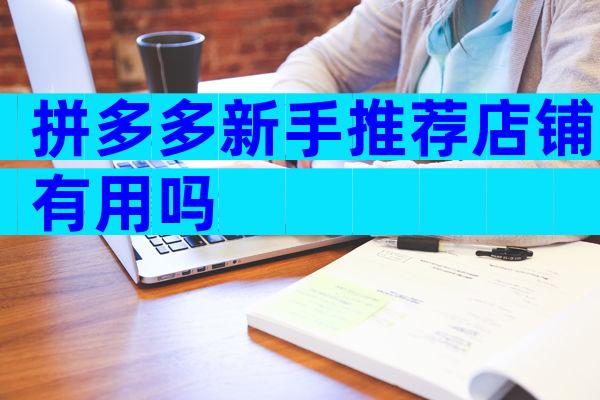 拼多多新手推荐店铺有用吗