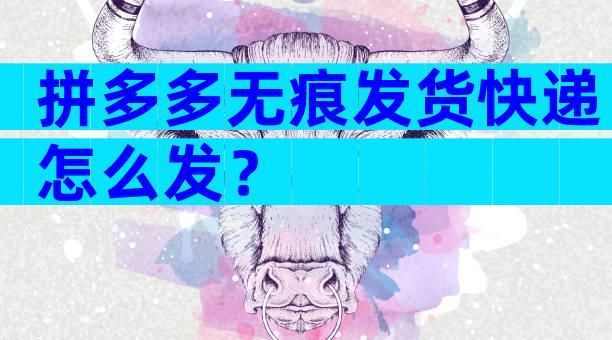 拼多多无痕发货快递怎么发？