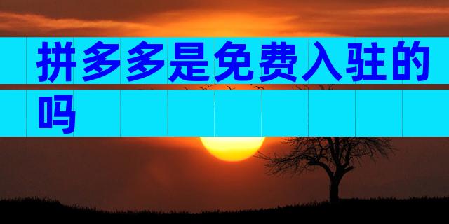 拼多多是免费入驻的吗