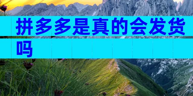 拼多多是真的会发货吗