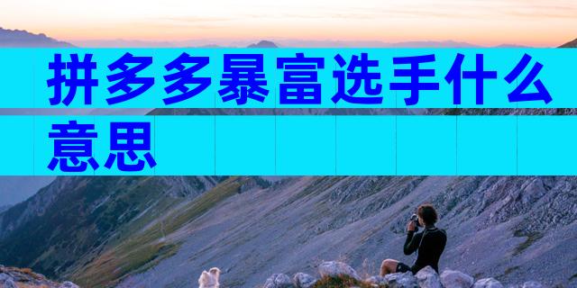 拼多多暴富选手什么意思