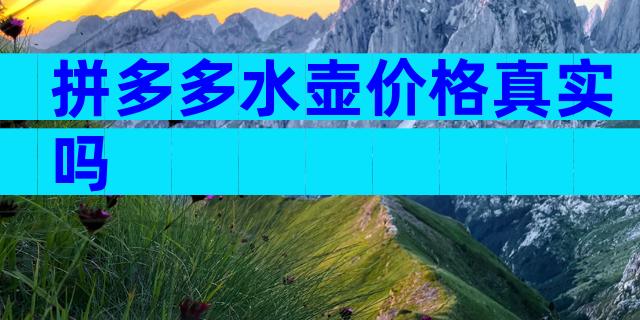 拼多多水壶价格真实吗