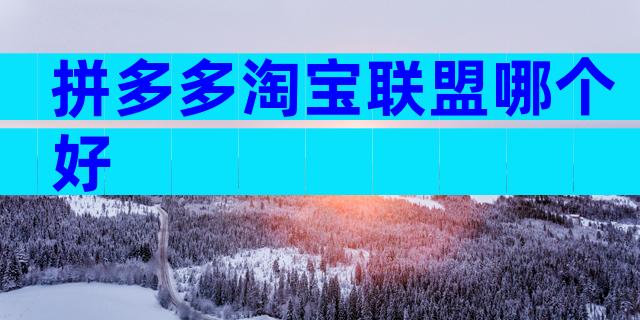 拼多多淘宝联盟哪个好
