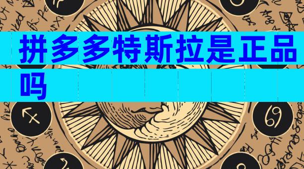 拼多多特斯拉是正品吗