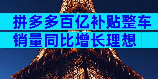 拼多多百亿补贴整车销量同比增长理想