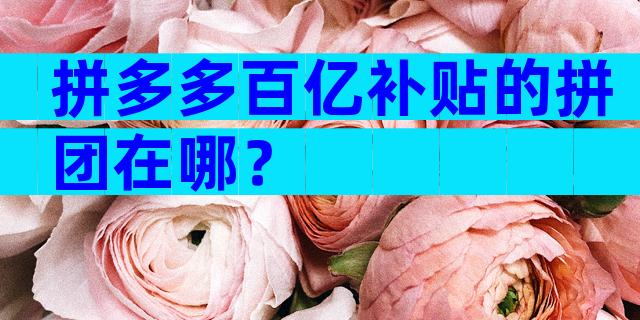 拼多多百亿补贴的拼团在哪？