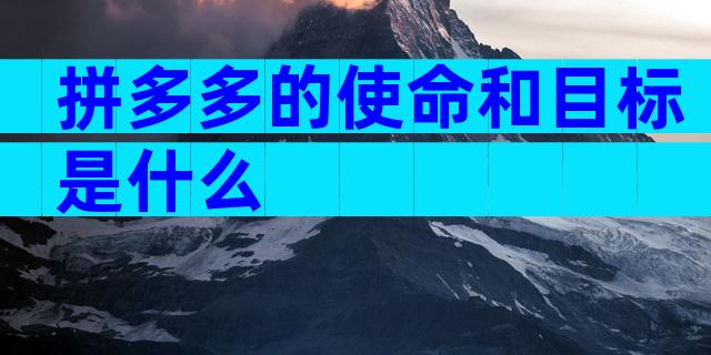 拼多多的使命和目标是什么