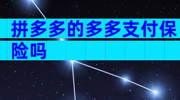 拼多多的多多支付保险吗