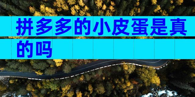 拼多多的小皮蛋是真的吗