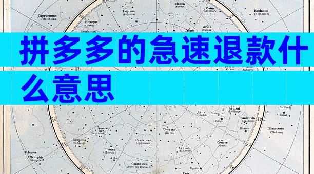 拼多多的急速退款什么意思