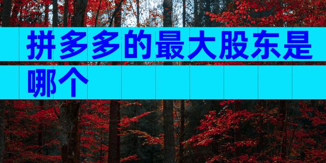 拼多多的最大股东是哪个